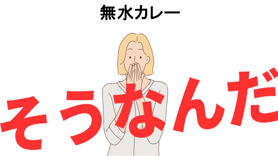 意味ないと思う人におすすめ！無水カレーの代わり